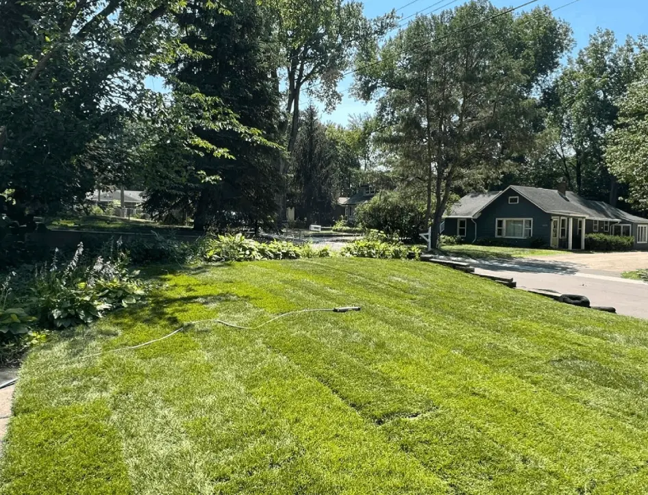 SOD installation in lakeville by bluestone landscaping